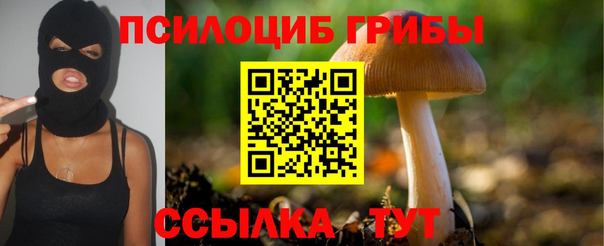 Трёхгорный  закладка  Вход с VPN  Галлюциногенные грибы GOLDEN TEACHER 